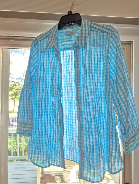 Foxcroft Tops - EUC Foxcroft Blue and White Gingham Button-Down Shirt